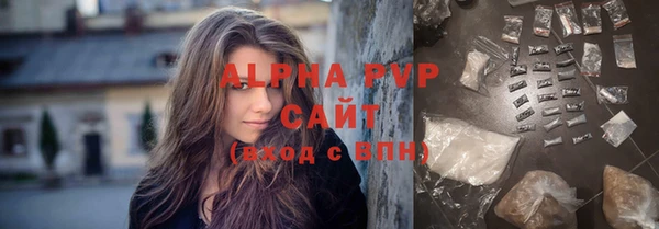 индика Нефтекумск