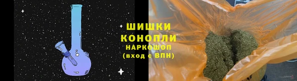 индика Нефтекумск