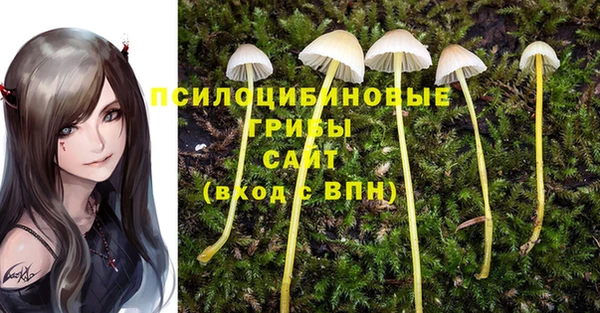 индика Нефтекумск