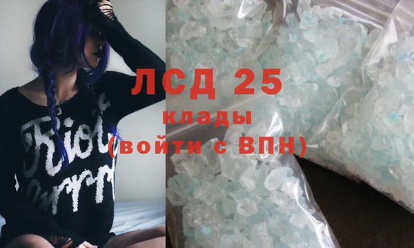 индика Нефтекумск