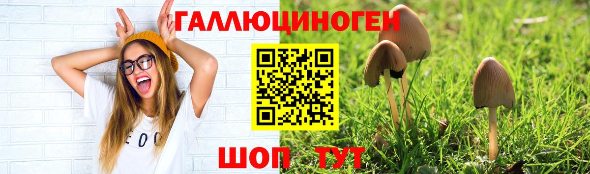 Псилоцибиновые грибы GOLDEN TEACHER Таганрог