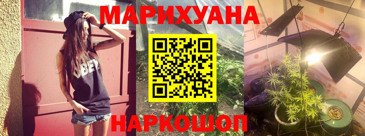 Бошки марихуана White Widow  Канабис планчик  Вход с VPN  Каннабис план  Таганрог  Марихуана Ganja 